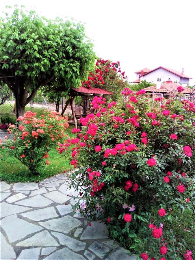 Villa Jenny Leptokaryá Ngoại thất bức ảnh