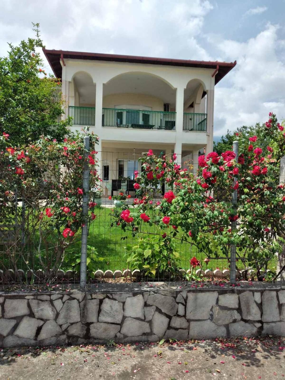 Villa Jenny Leptokaryá Ngoại thất bức ảnh