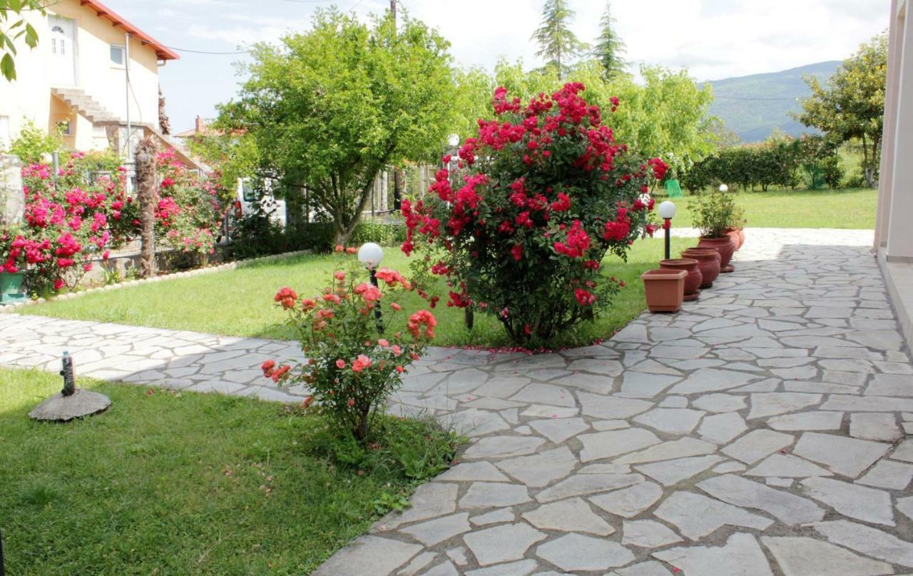 Villa Jenny Leptokaryá Ngoại thất bức ảnh